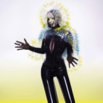 Front cover of 'Vulnicura'