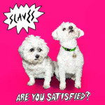 Front cover of 'Are You Satisfied?'