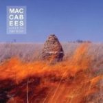 the_maccabees_given_to_the_wild