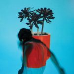 local_natives_sunlit_youth