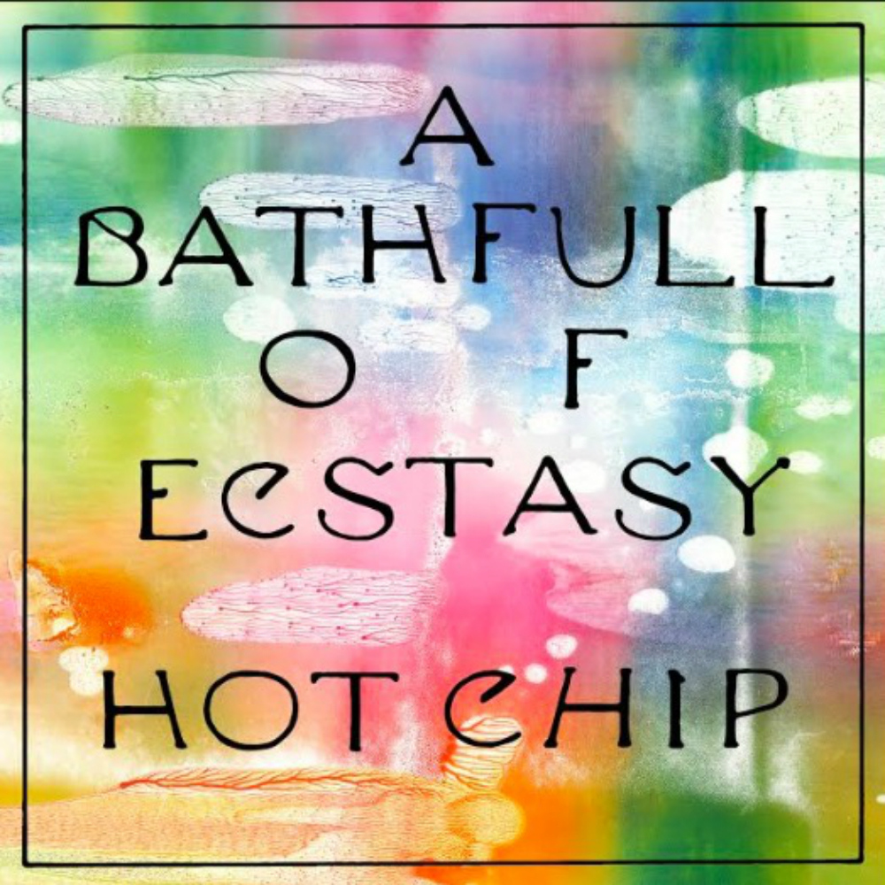 Hot Chip A Bath Full Of Ecstasy