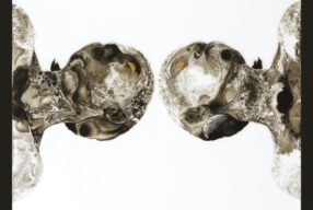 REVIEW: Sleater-Kinney – ‘Path Of Wellness’ (Mom + Pop)